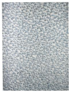 Neill Raitt - Alpine 4