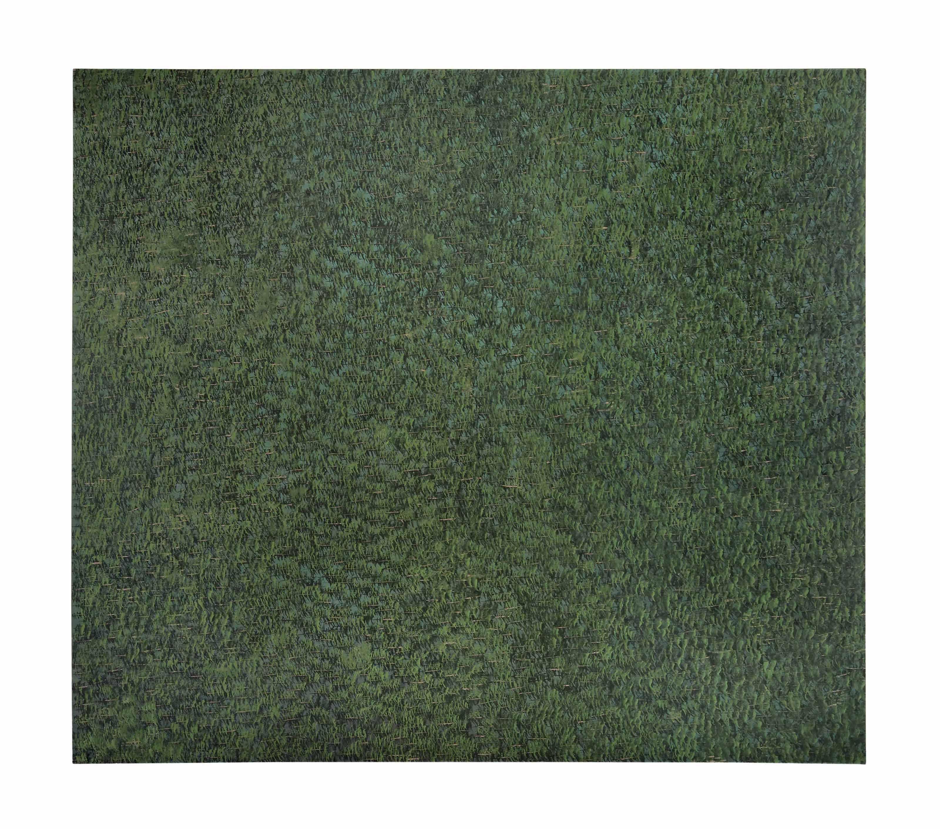 Neill Raitt - Evergreen