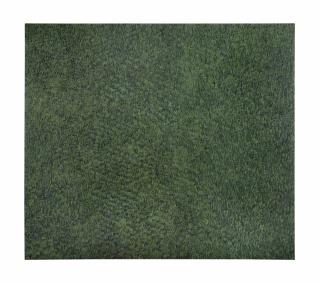 Neill Raitt - Evergreen