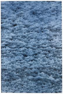 Neill Raitt - Storm Clouds 1