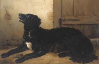 Neils Simonsen - The faithful hound