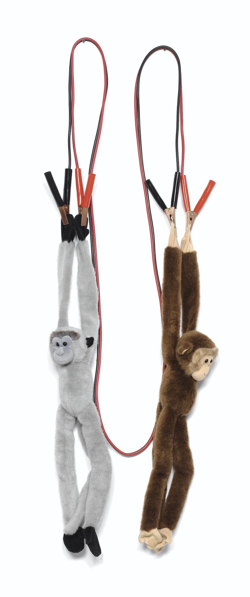 Nelson Leirner - Made In Brazil