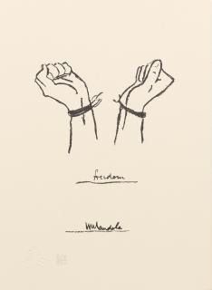 Nelson Rolihlahla Mandela - The Struggle Series