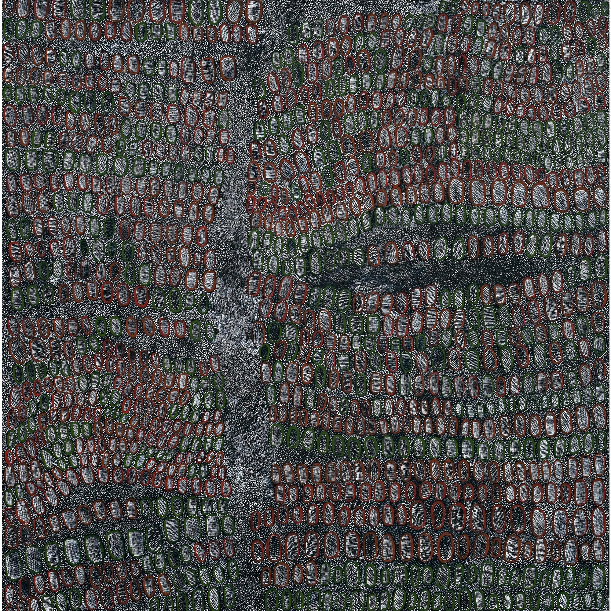 Ngoia Napaltjarri Pollard - Swamps Around Nyrippi