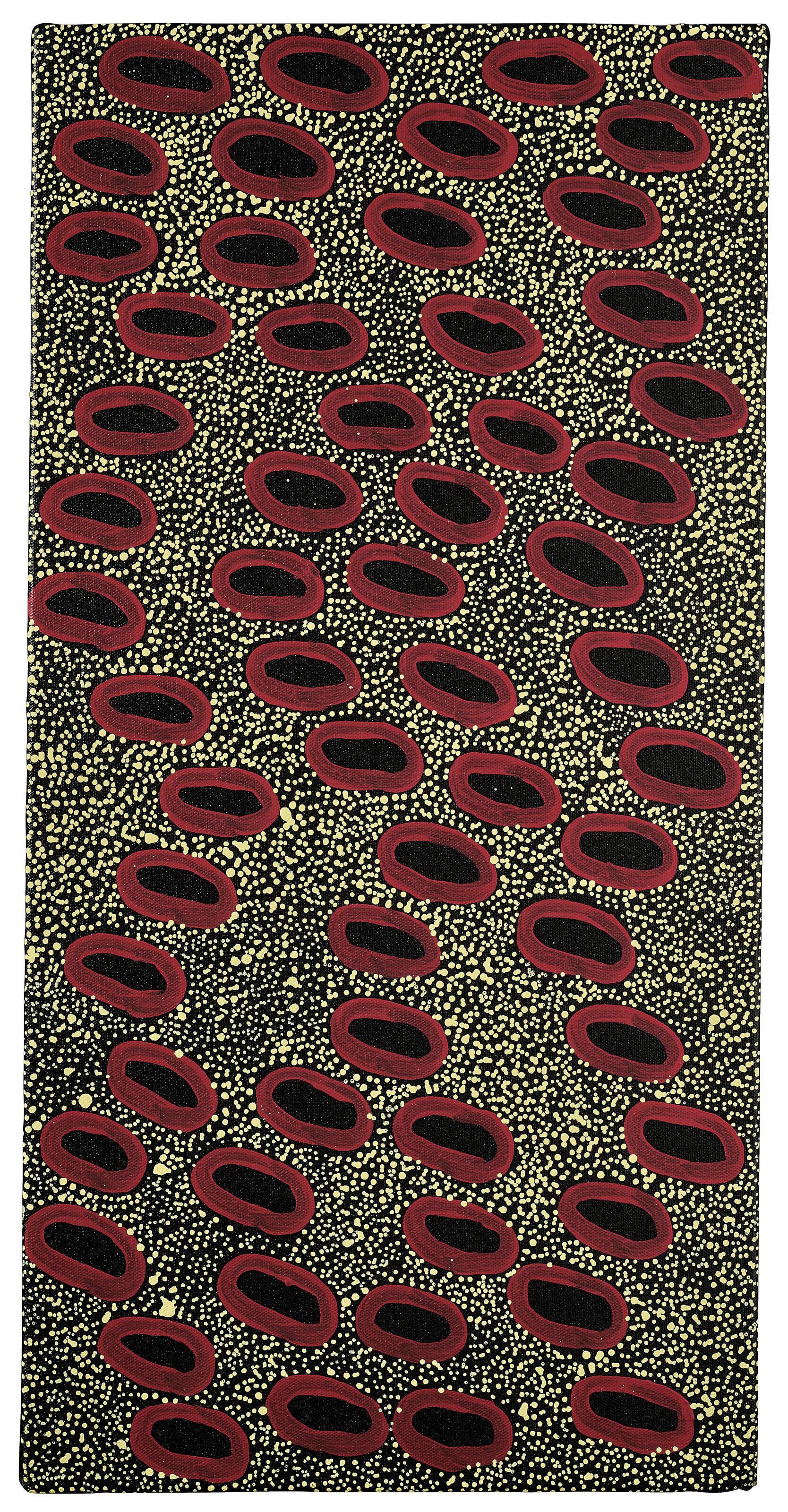 Ngoia Pollard Napaltjarri - Senza titolo