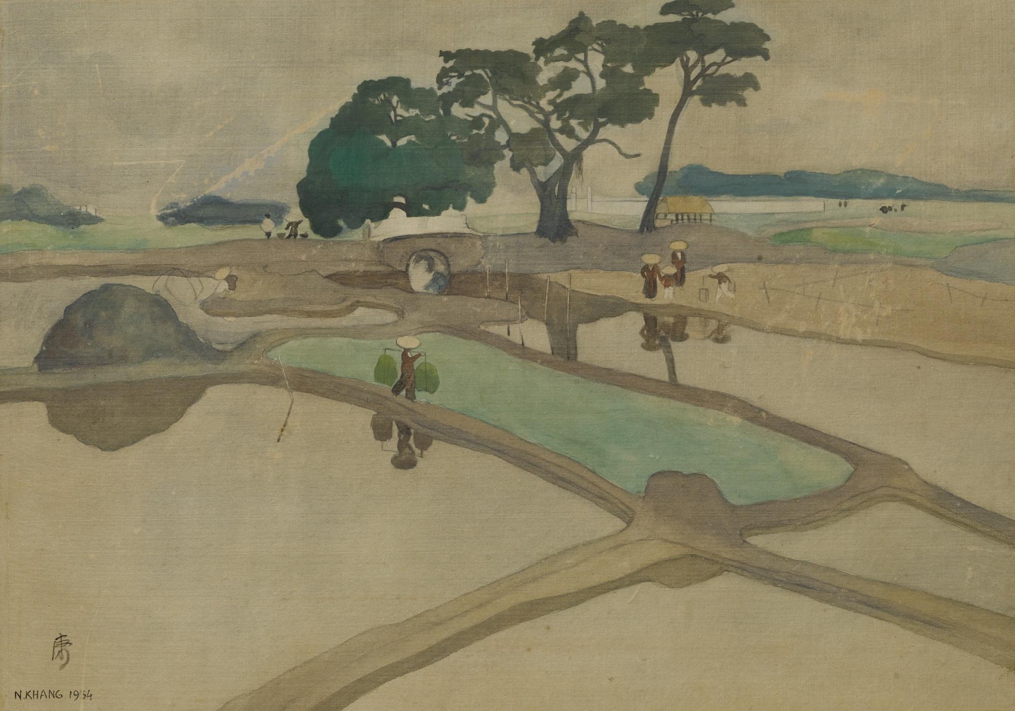 Nguyen Khang - Rice Fields In Vietnam