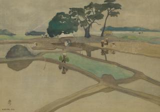 Nguyen Khang - Rice Fields In Vietnam