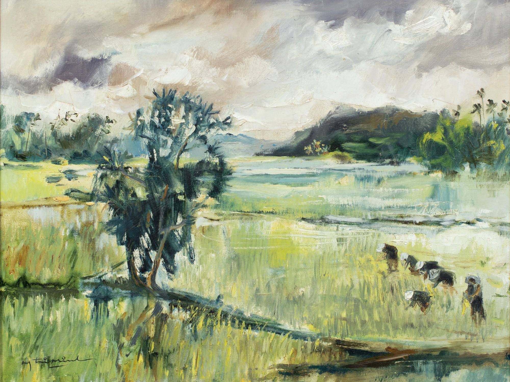 Nguyen Tri Minh - Rice Fields In South Vietnam