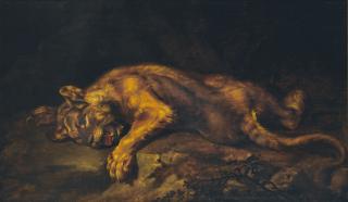 Nicasius Bernaerts - Lionne couchée