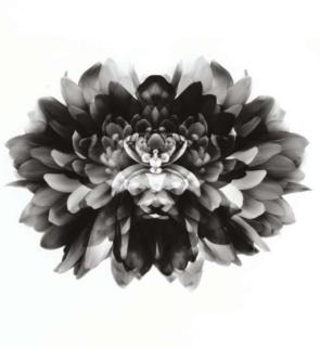 Nicholas Callaway - The Octave of Prayer No. 2 and The Octave of Prayer No. 1, 1970