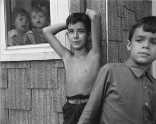 Nicholas Nixon - Elm Street, E. Cambridge; and Covington, Kentucky, 1981-1982