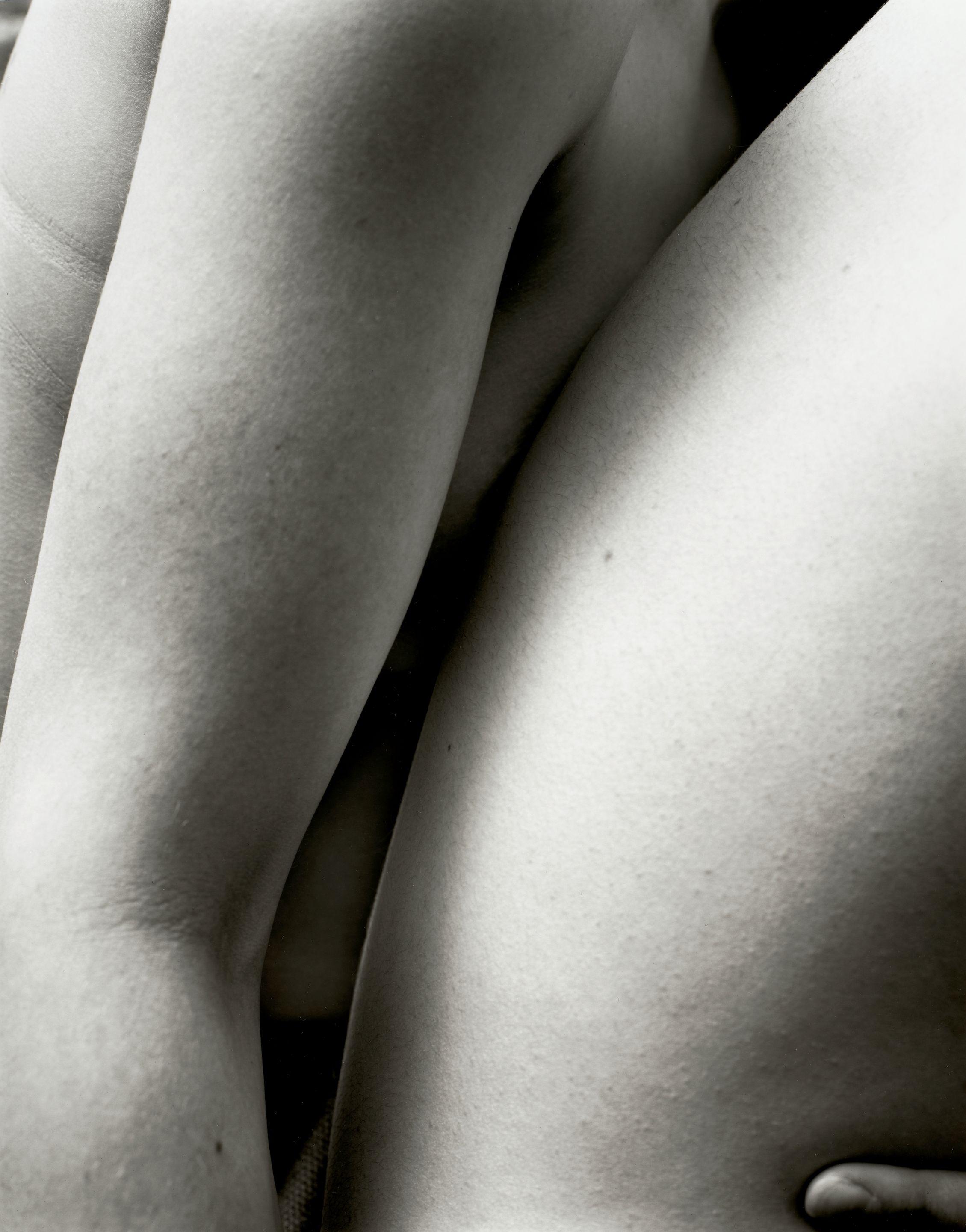 Nicholas Nixon - M.S. S.P.