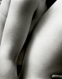 Nicholas Nixon - M.S. S.P.