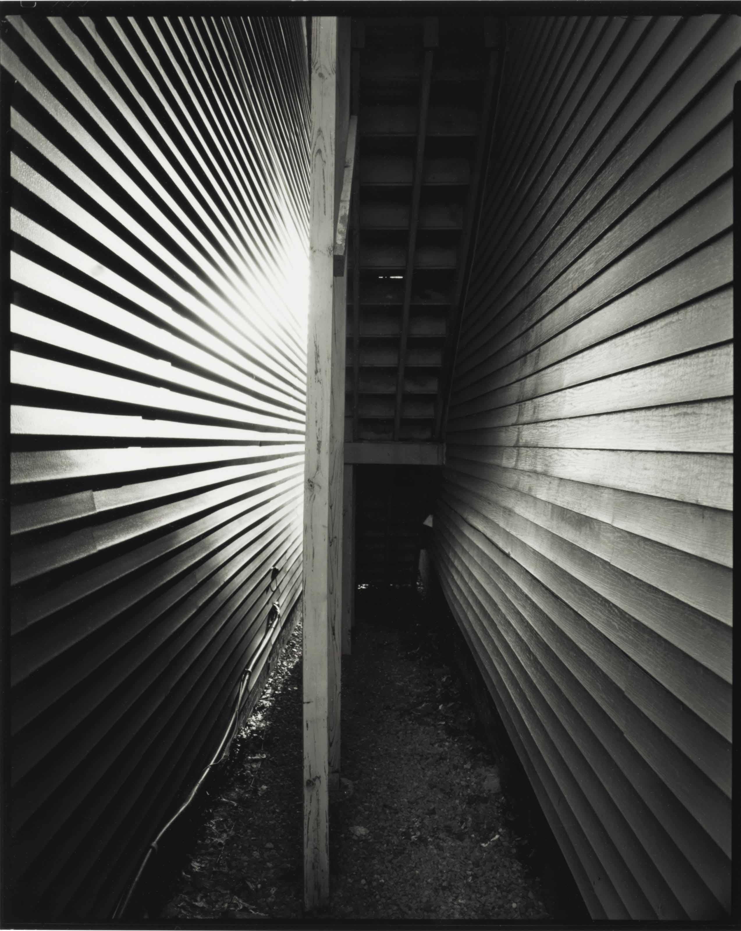 Nicholas Nixon - West Concord, Massachusetts, 2008