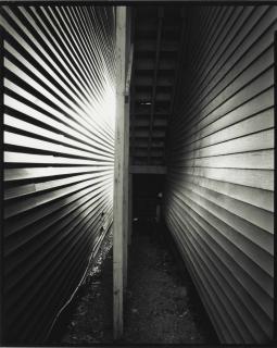 Nicholas Nixon - West Concord, Massachusetts, 2008