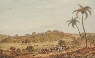 Nicholas Pocock - View Of Barbados
