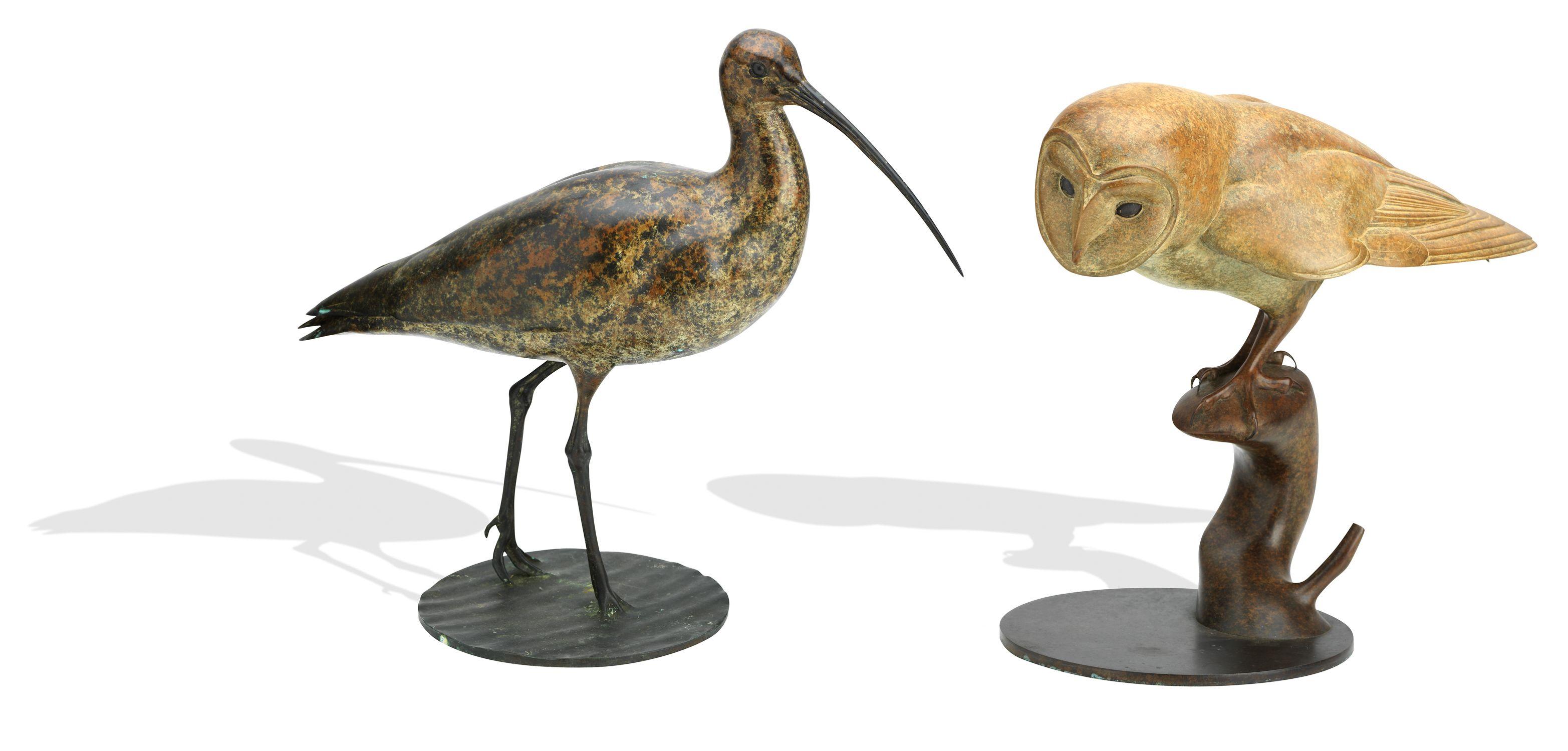 Nick Bibby - Bronze Barn Owl