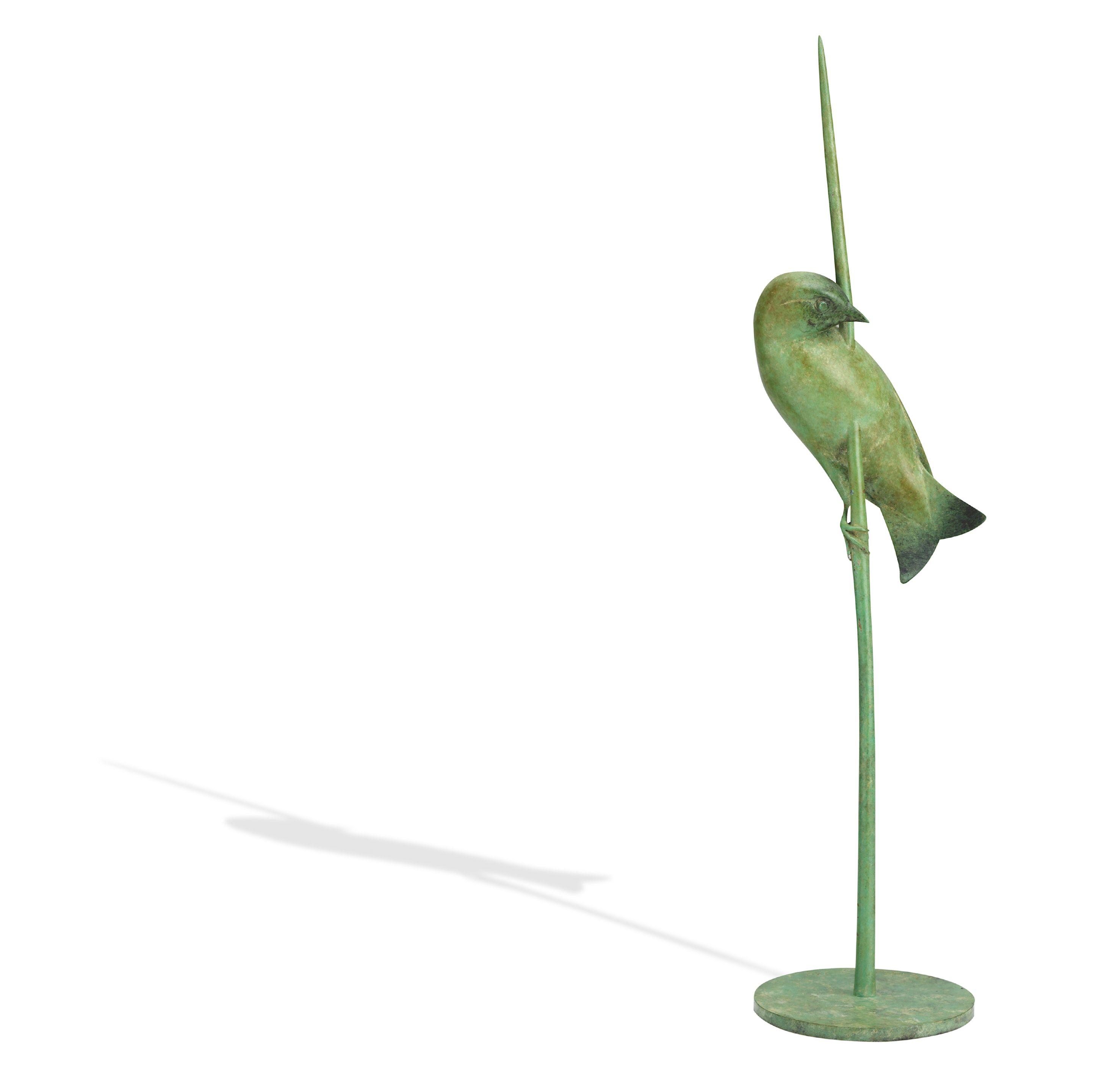 Nick Bibby - Bronze Dipper