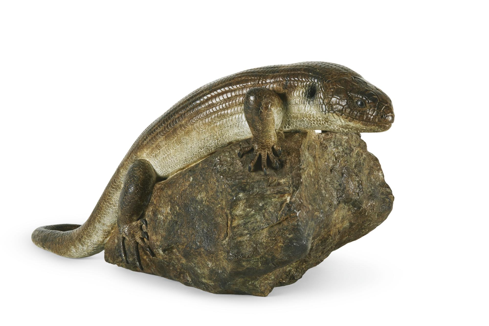 Nick Bibby - Mauritius Giant Skink