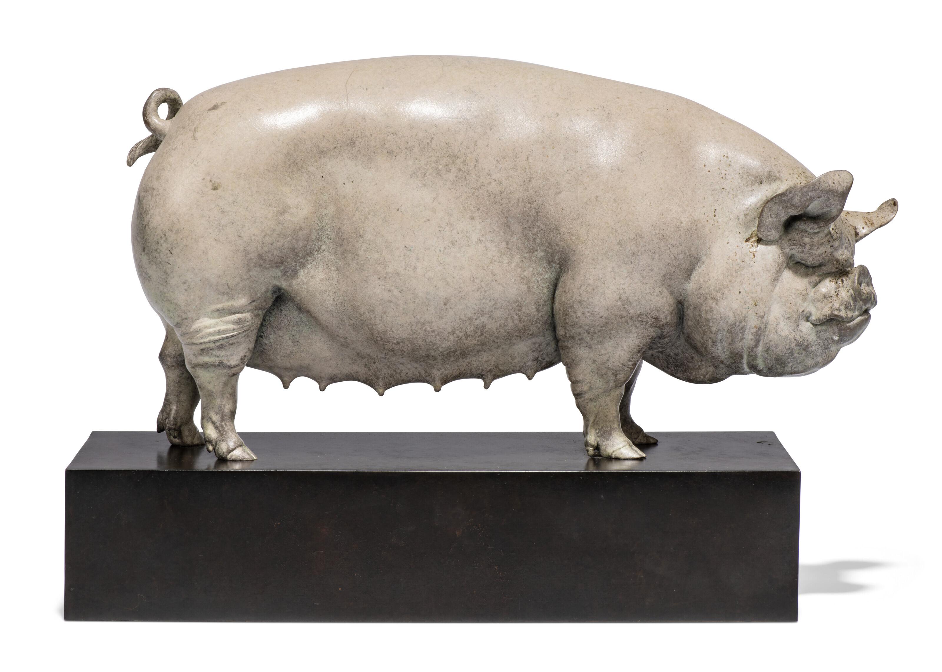 Nick Bibby - Middle White Pig: Alice