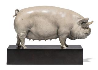 Nick Bibby - Middle White Pig: Alice