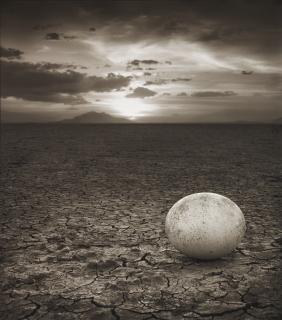 Nick Brandt - \'Abandoned Ostrich Egg\', Amboseli, 2007
