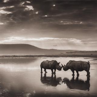 Nick Brandt - \
