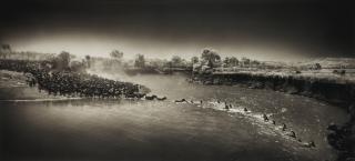 Nick Brandt - Zebra River Crossing, Massai Mara, 2006Archival Pigment Print. Signed, Dated And Numbered 11/15. Mounted And Framed.