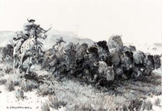 Nick Eggenhoffer - Buffalo Hunt