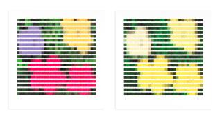 Nick Smith - Fame; Beauty