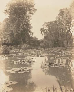 Nickolas Murray - Water lilies’ basin, Giverny, 1926