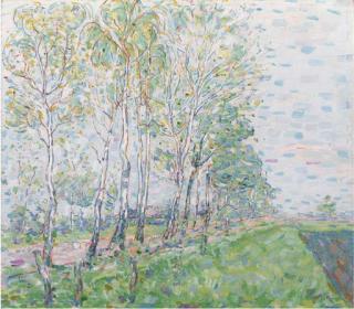 Nico van Rijn - Birch trees