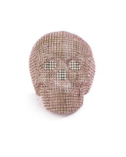 Nicola Bolla - Vanitas