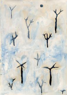 Nicola de Maria - Sono la voce della foresta