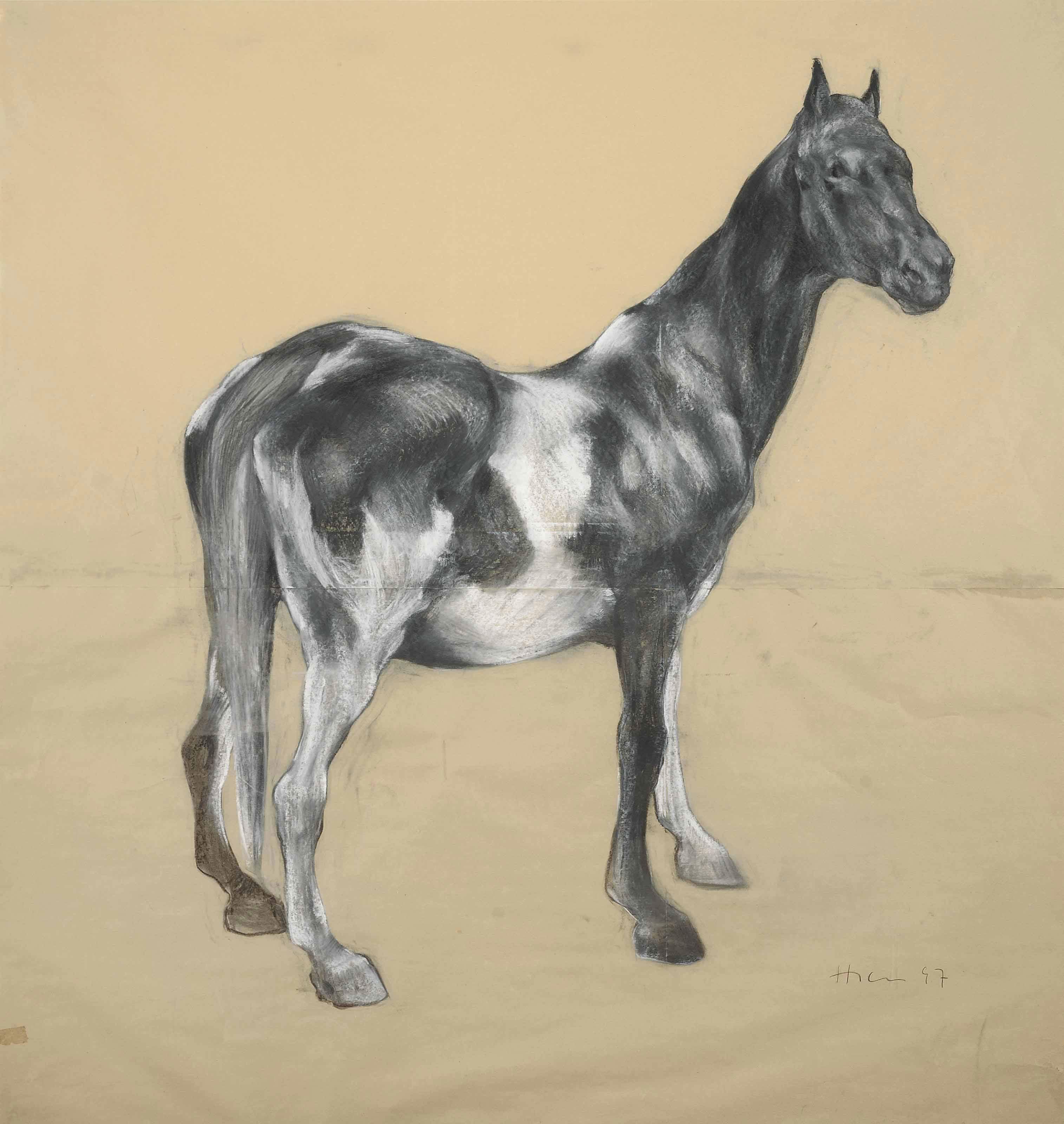Nicola Hicks - Horse