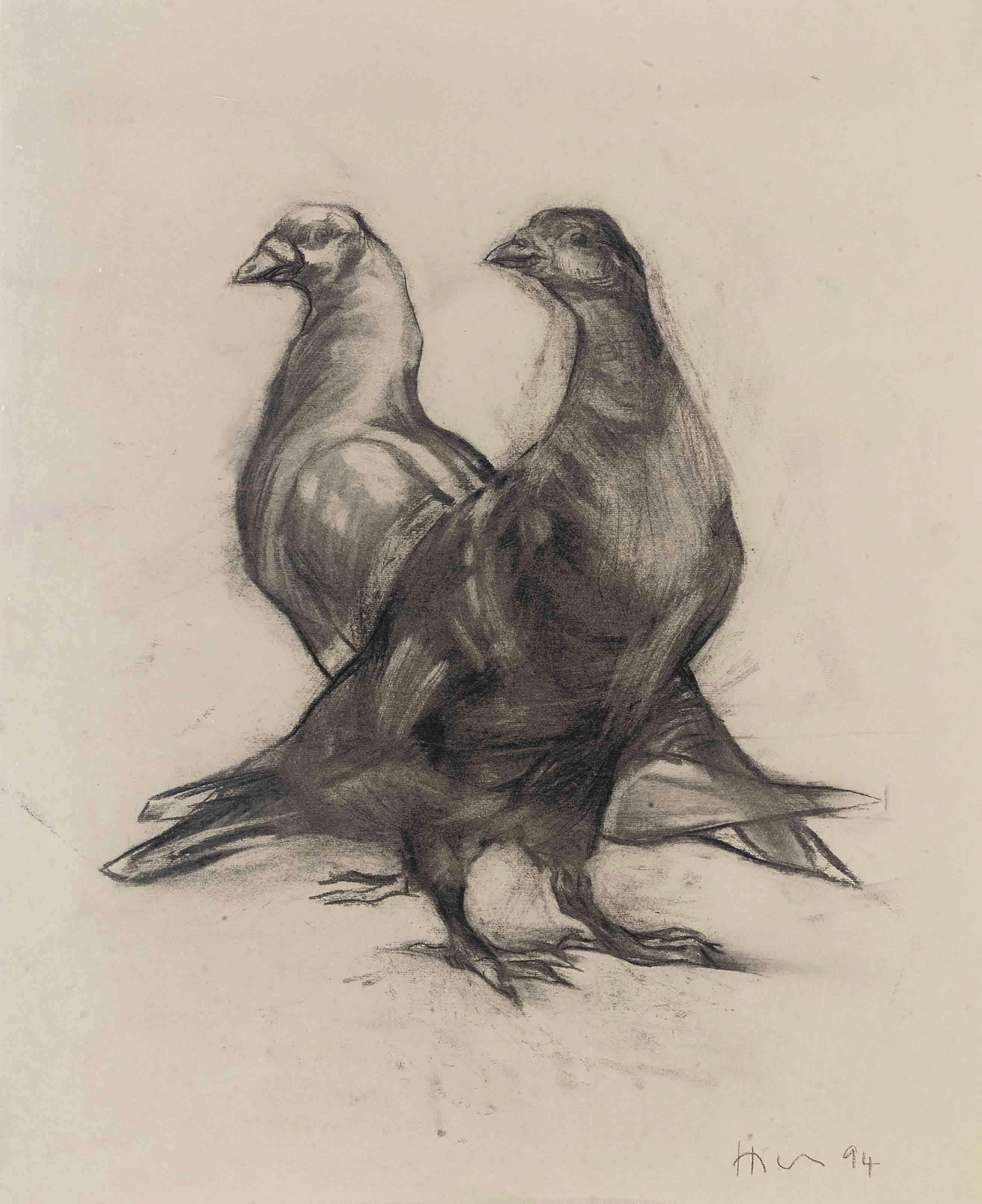 Nicola Hicks - Pigeons