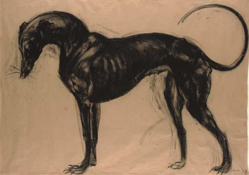 Nicola Hicks - Rocket