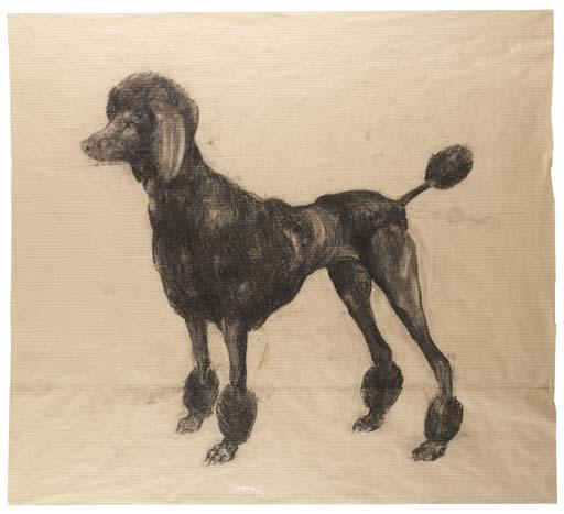 Nicola Hicks - Untitled (Poodle 2)