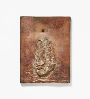 Nicola Samori - Gli occhi nel petto