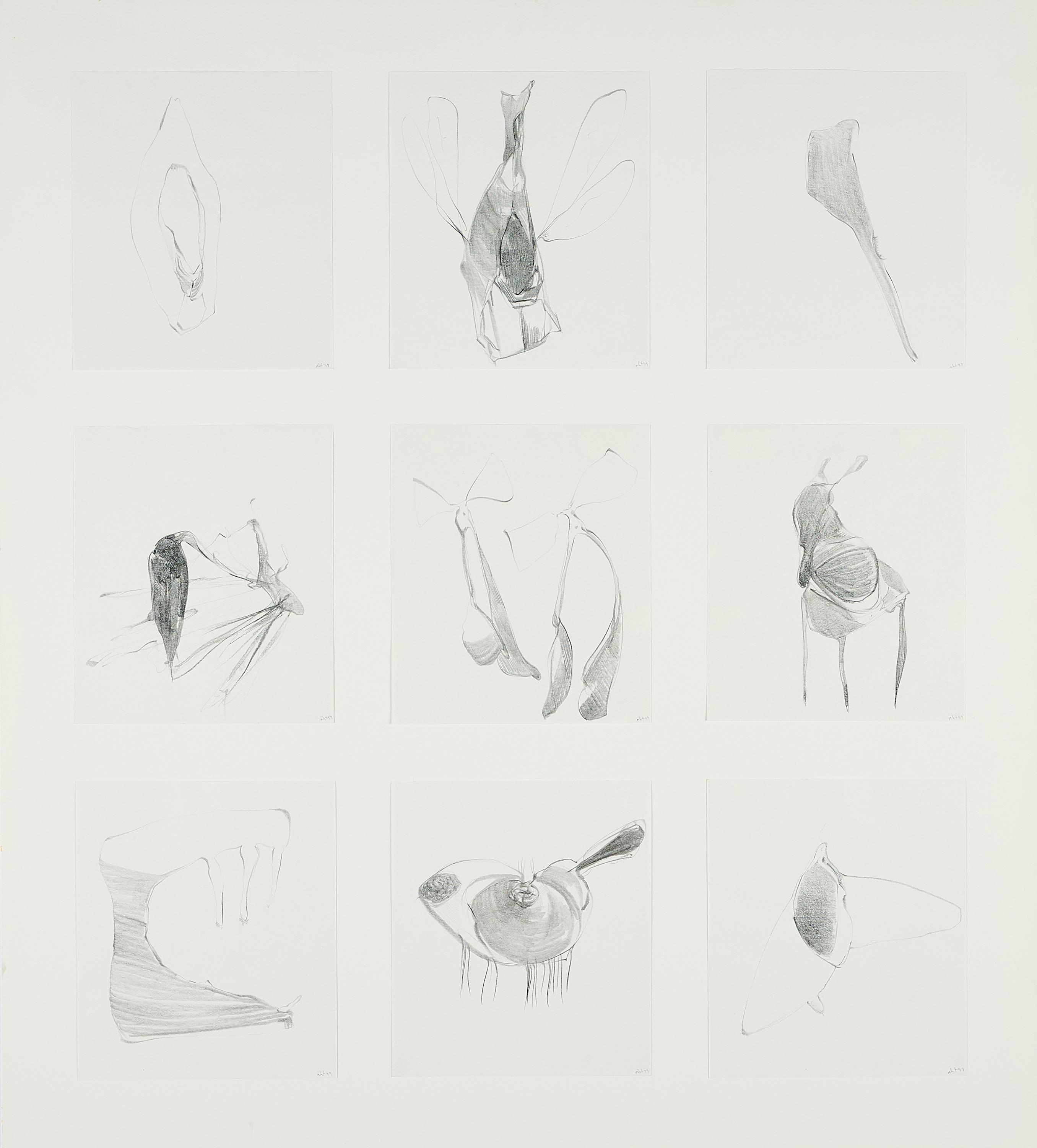 Nicola Tyson - Group #62.