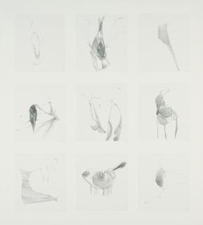 Nicola Tyson - Group #62.