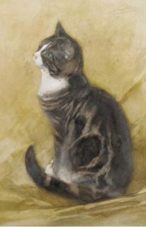 Nicolaas Van Der Waay - Fascinated feline
