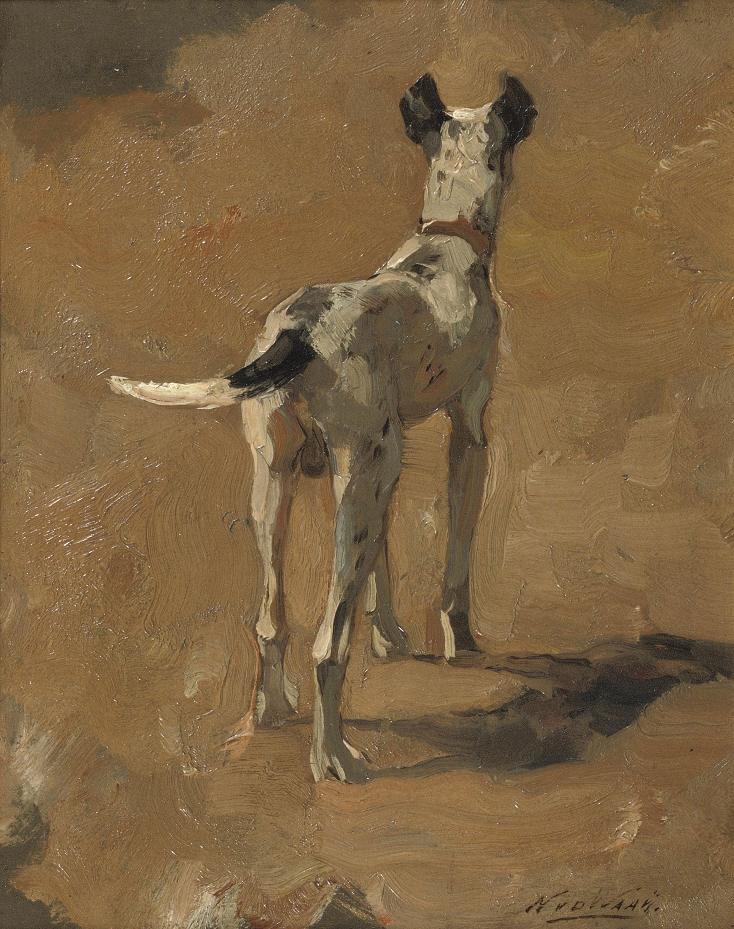 Nicolaas van der Waay - Studie van een hond