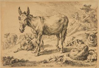 Nicolaes Berchem - Esel.