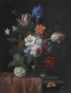 Nicolaes Van Veerendael - Hibiscus, parrot tulips, carnations, a rose, an iris, snowballs and other flowers in a vase on a partially draped stone ledge, with a garden tiger moth