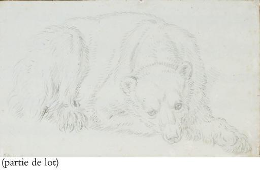 Nicolas II Huet - Un chameau assis vu de profil vers la droite