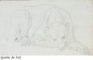 Nicolas II Huet - Un chameau assis vu de profil vers la droite