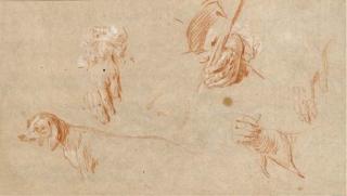 Nicolas Lancret - Etudes d\'un chien et de quatre mains, dont l\'une tenant un bâton (recto); Un chien et une main avec deux études subsidiaires (verso)