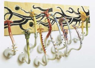 Nicolas Leiva - Flores