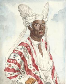 Nicolas-Martin Petit - Naba-Leba, Roi de Solor